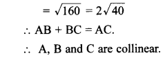 MCQ Questions for Class 10 Maths Coordinate Geometry with Answers 21